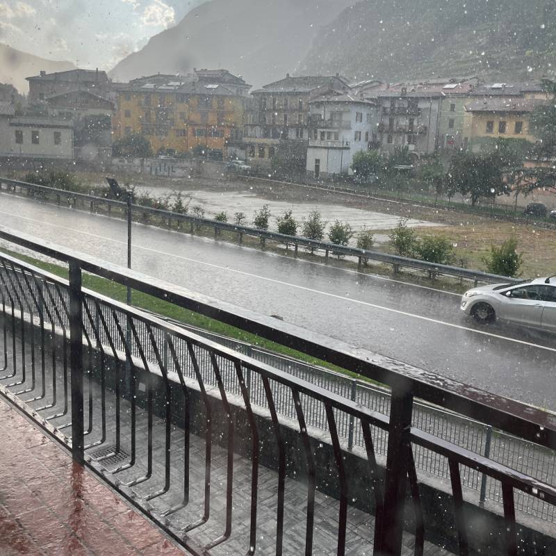 Fotosegnalazione di Mori