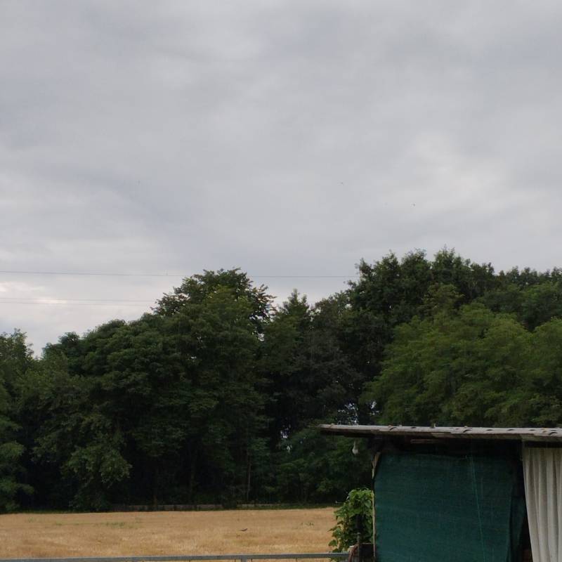 Fotosegnalazione di Ponzano veneto