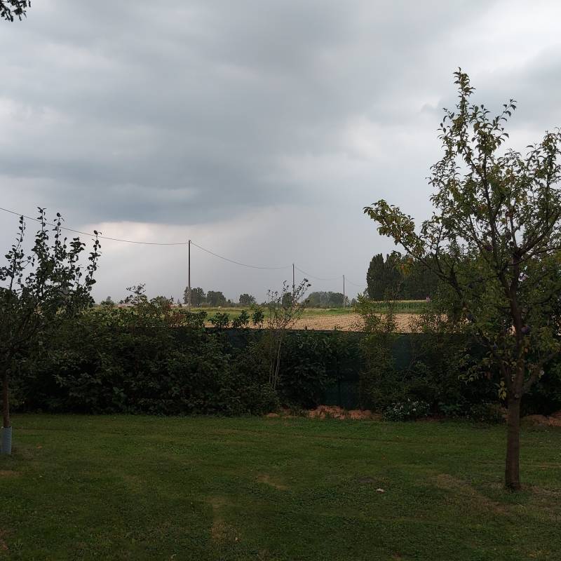 Fotosegnalazione di Torre de' picenardi