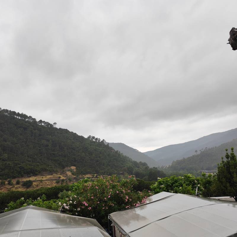 Fotosegnalazione di Deiva marina
