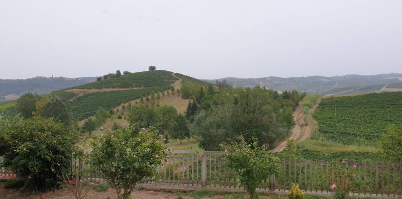 Mombaruzzo 17 agosto 2022