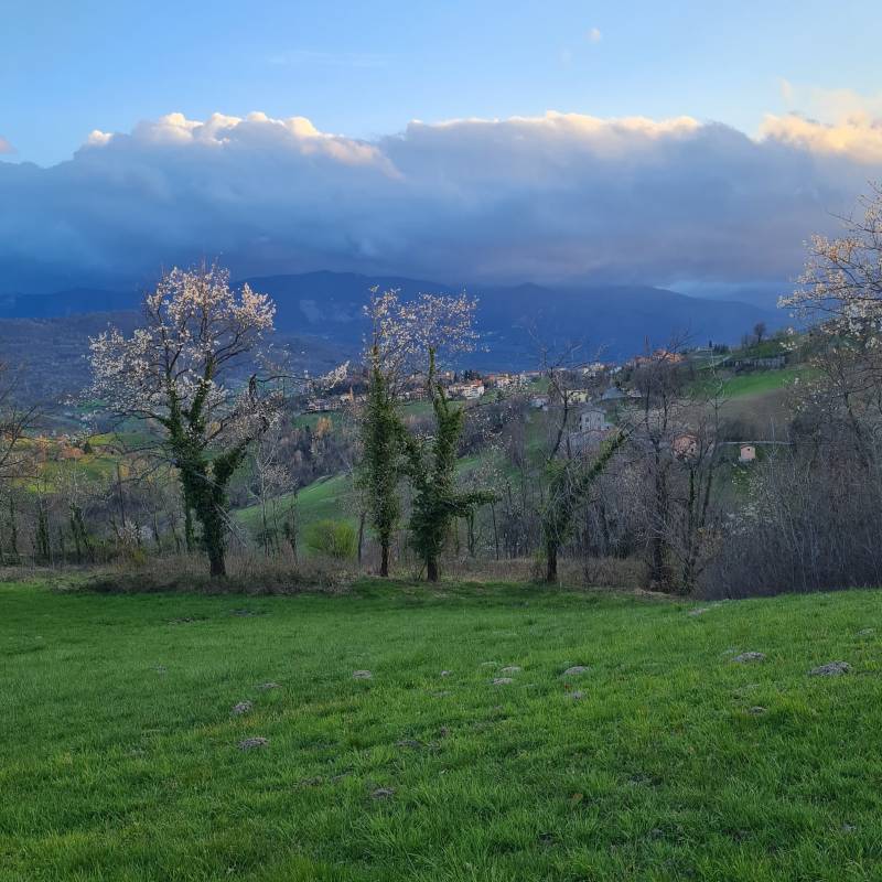 Vista da monzone verso montecenere
