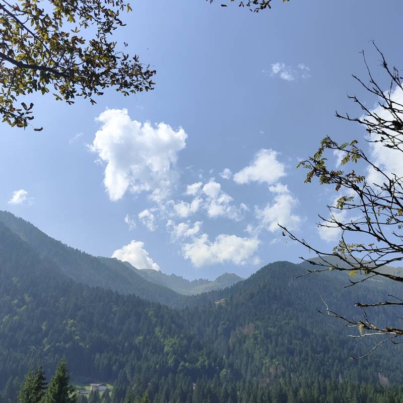 Fotosegnalazione di Pieve tesino