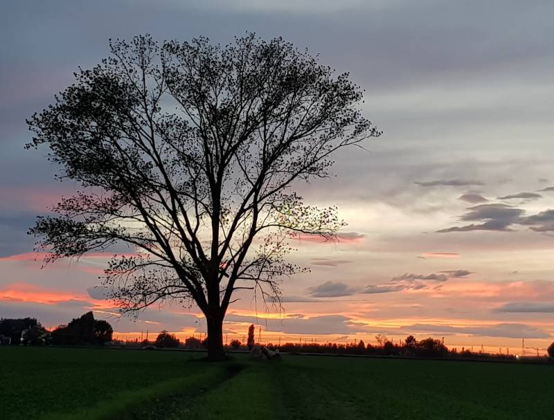 rosso di sera....
