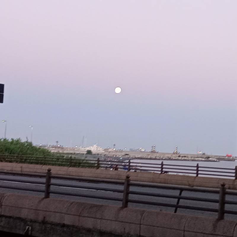 Fotosegnalazione di Genova ponente litorale