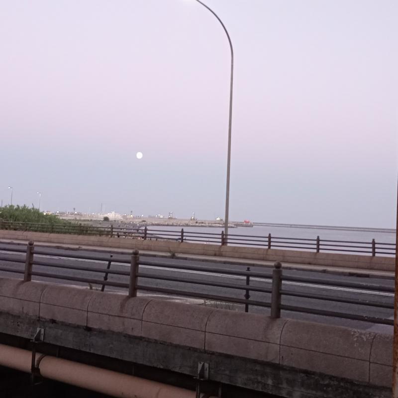Fotosegnalazione di Genova ponente litorale