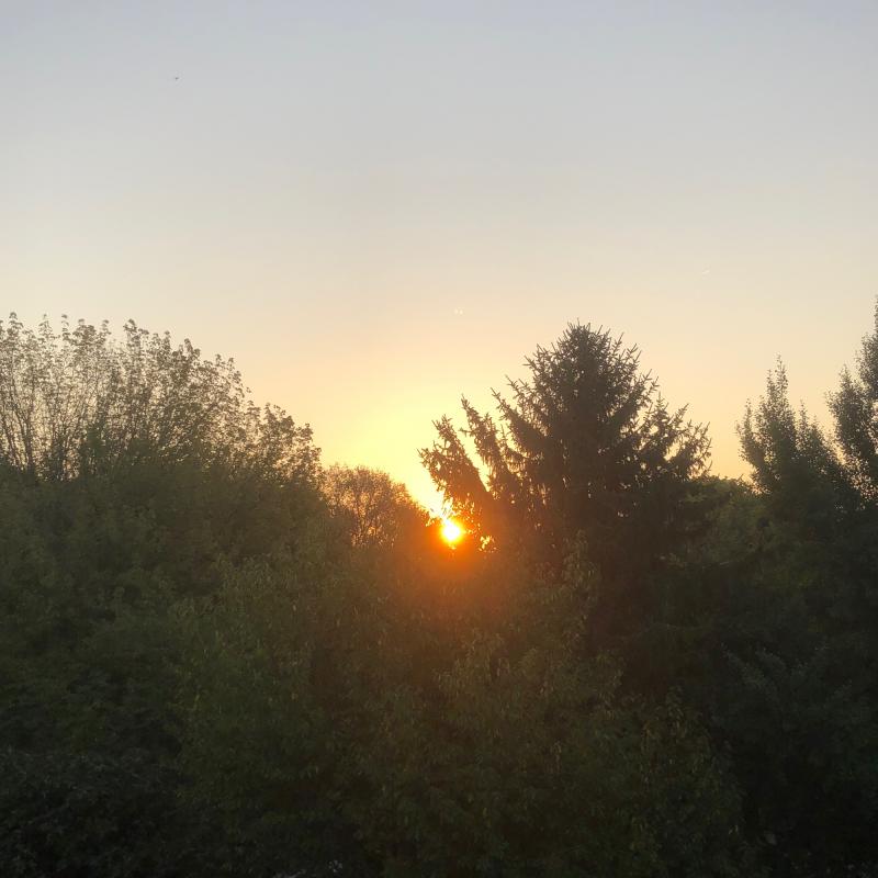 Fotosegnalazione di Ferrara centro
