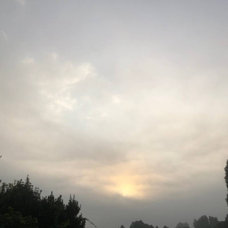 Fotosegnalazione di Ferrara est