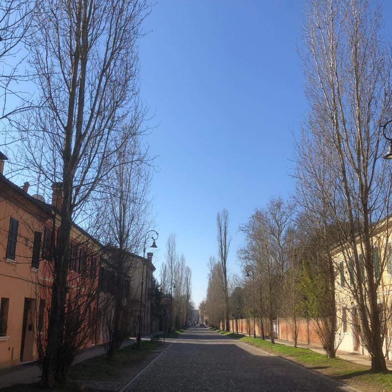 Fotosegnalazione di Ferrara centro