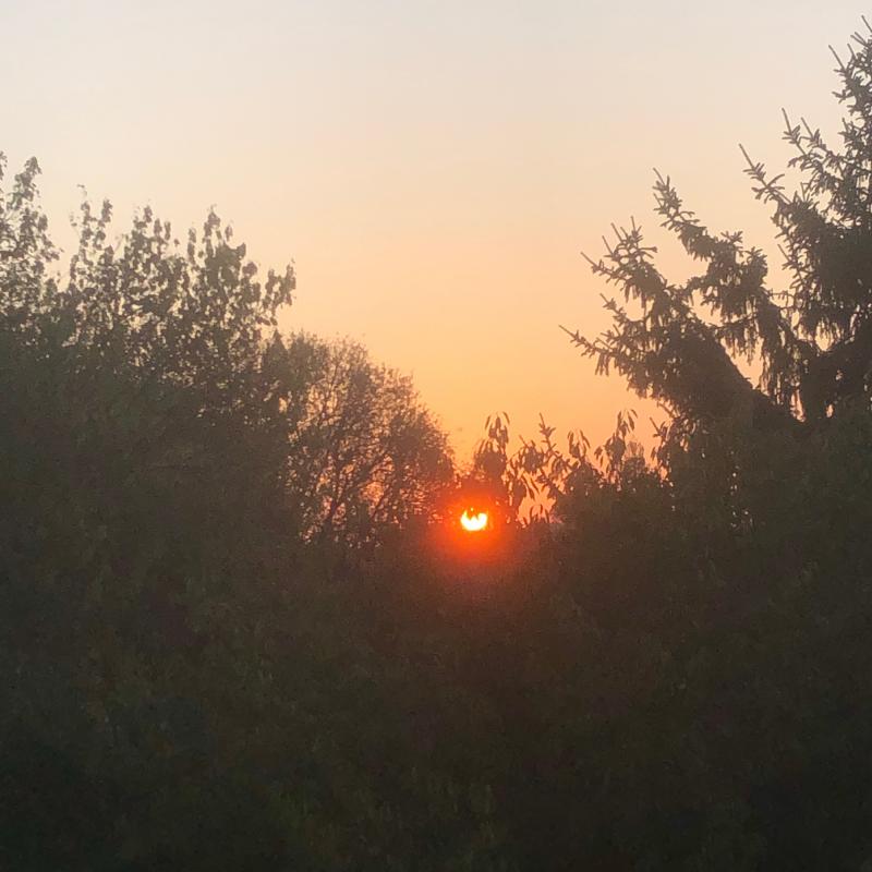 Fotosegnalazione di Ferrara centro
