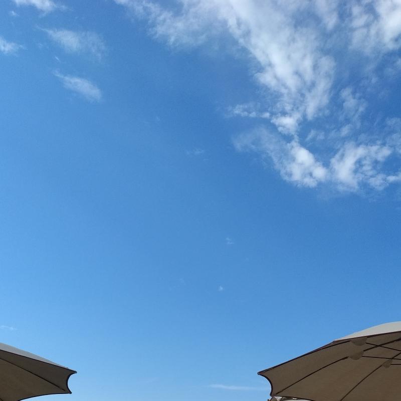 Fotosegnalazione di Bibbona