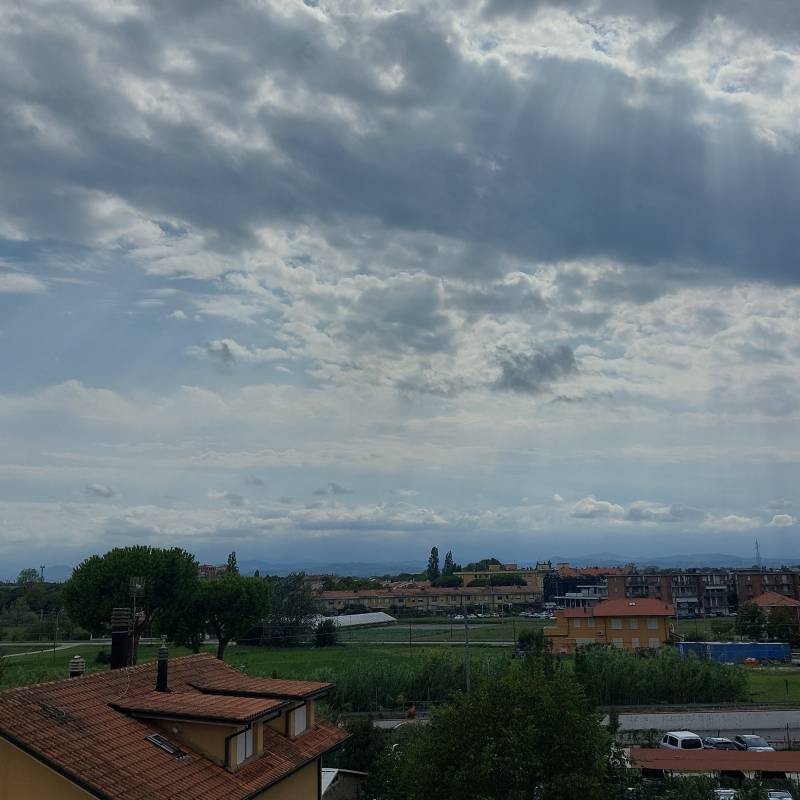 Fotosegnalazione di Bellaria igea marina