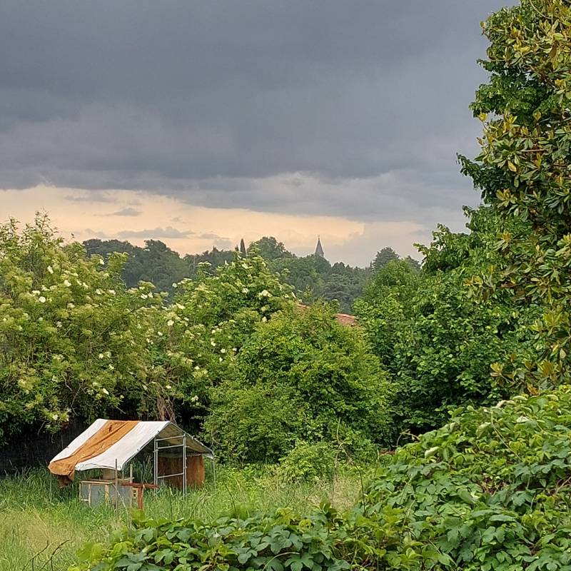 Pioggia da verano brianza