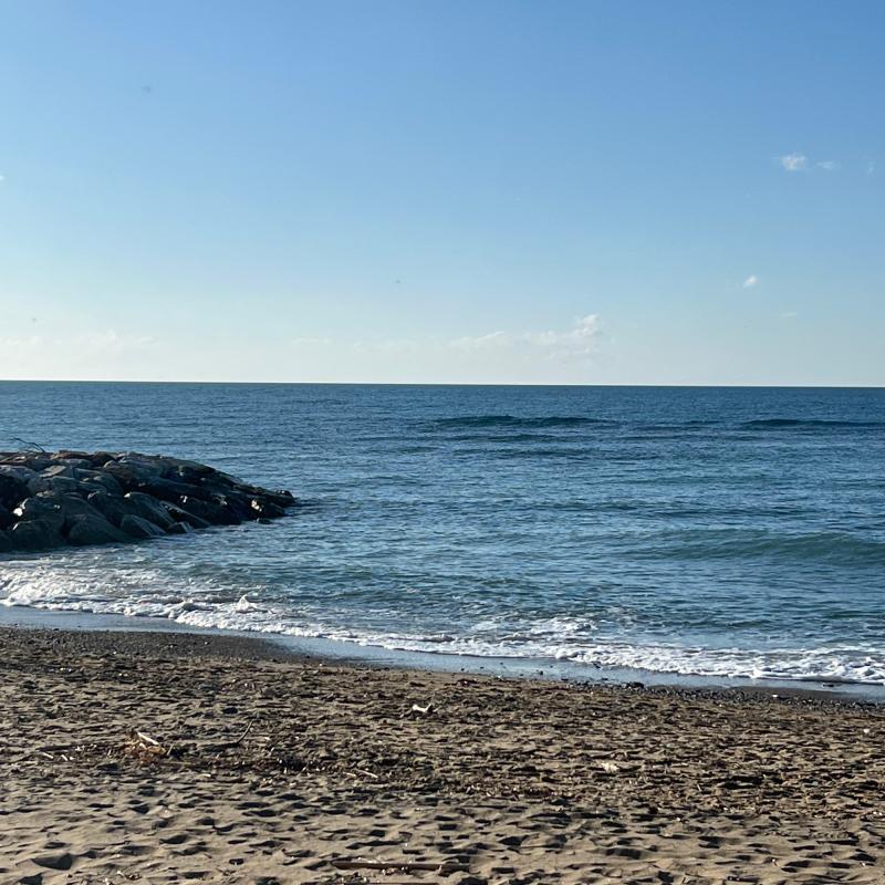 Fotosegnalazione di San vincenzo