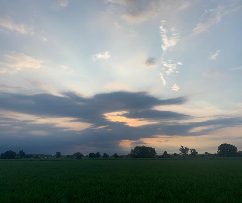 Fotosegnalazione di Motteggiana