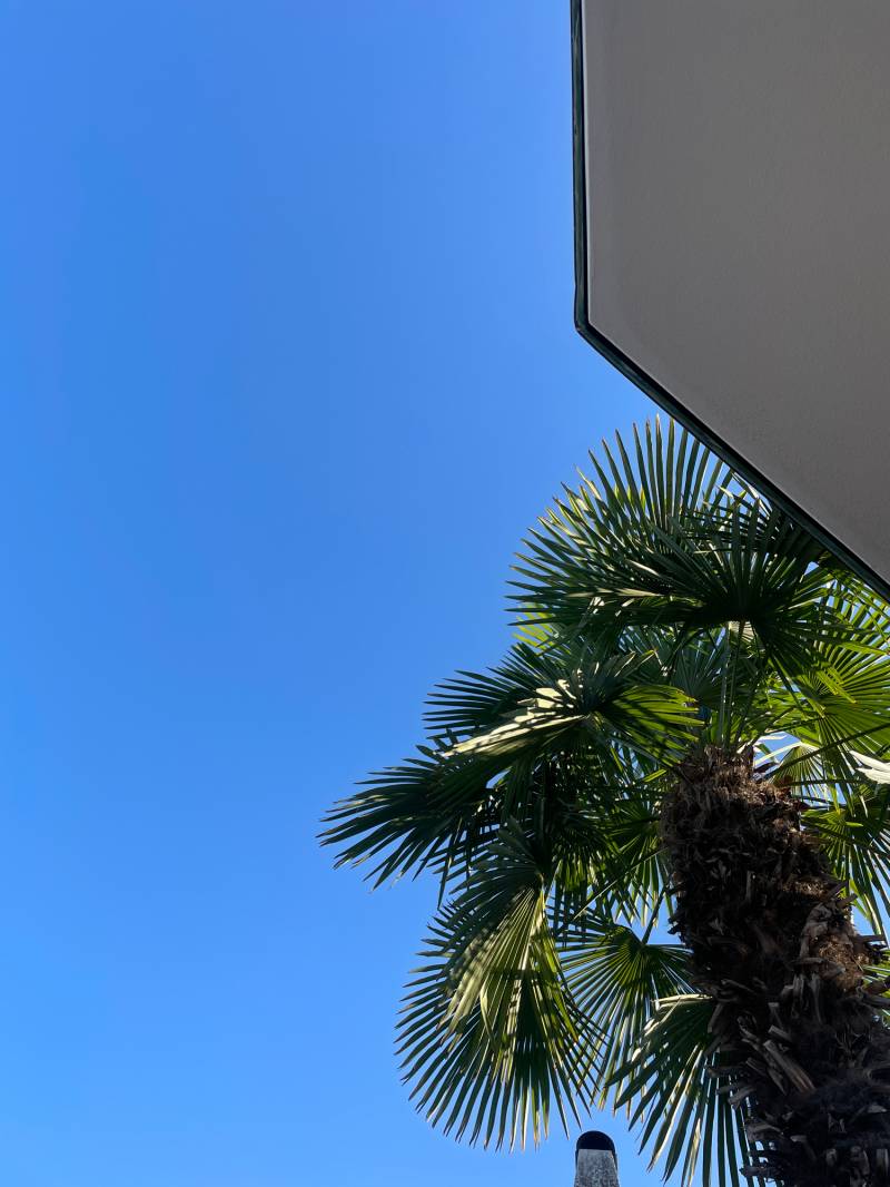 Fotosegnalazione di Rodengo saiano