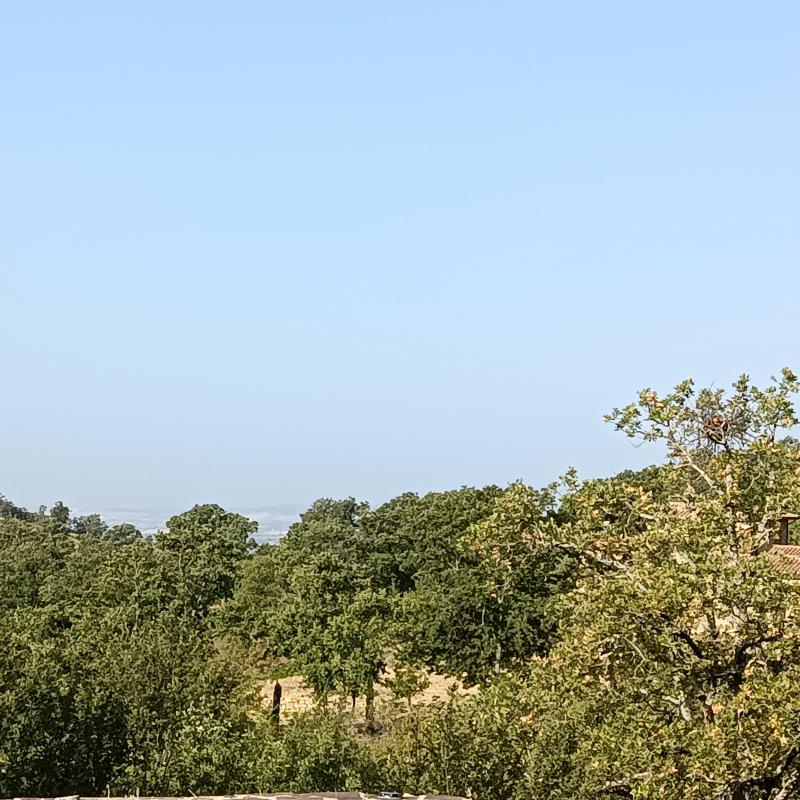 Fotosegnalazione di Semproniano