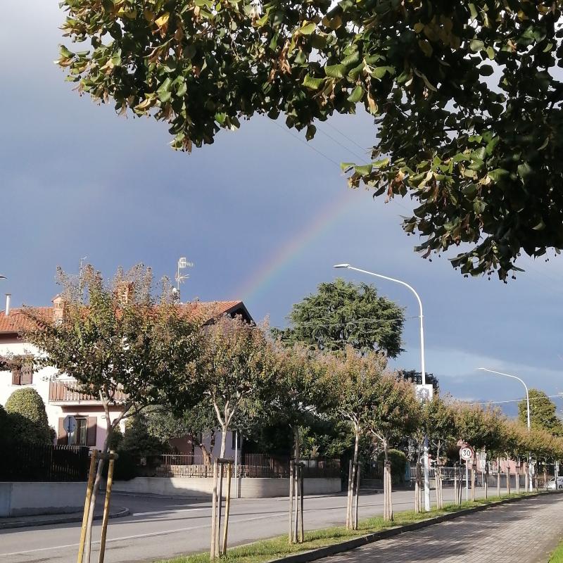 Fotosegnalazione di Barzana