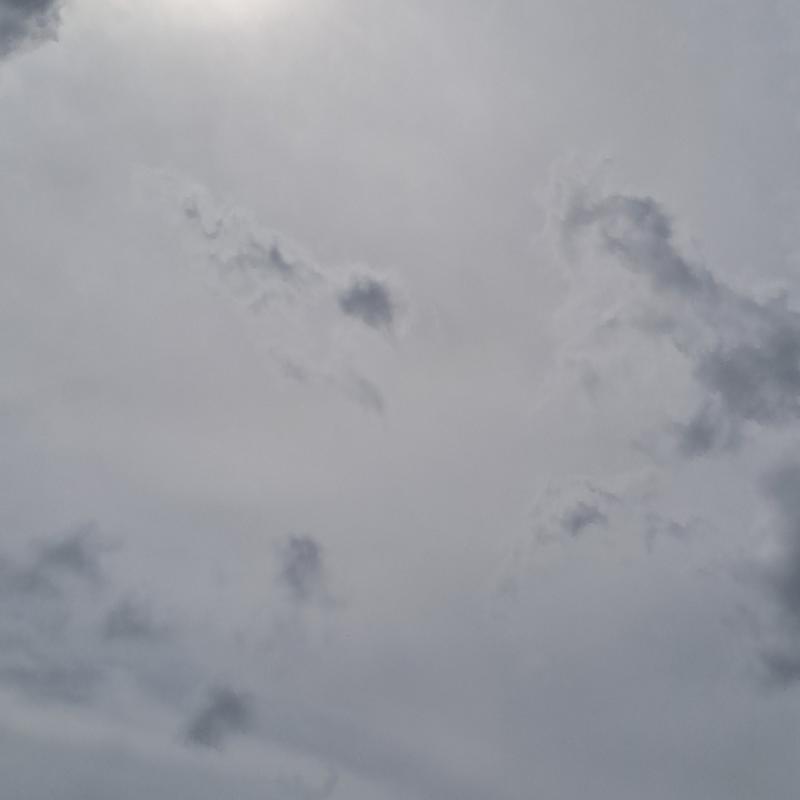 Fotosegnalazione di Firenze rifredi