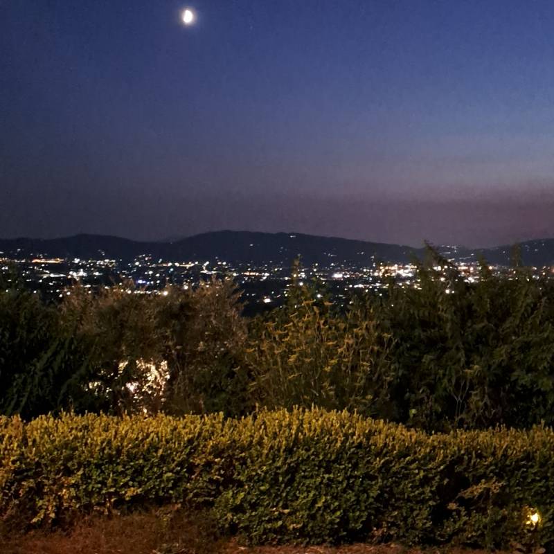 Fotosegnalazione di Montale