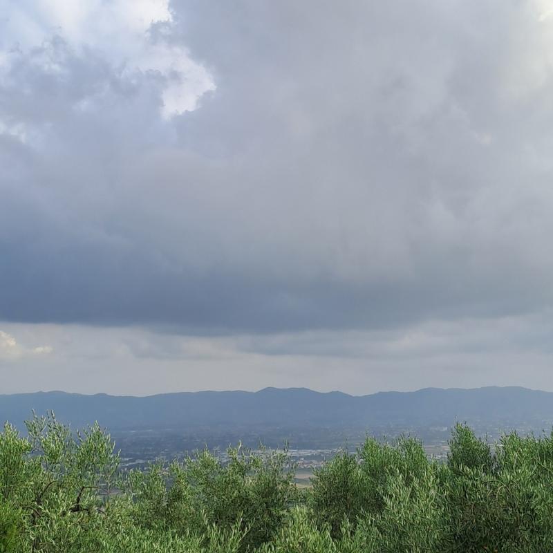 Fotosegnalazione di Montale