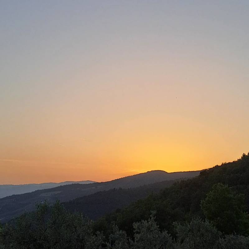 Fotosegnalazione di Montale