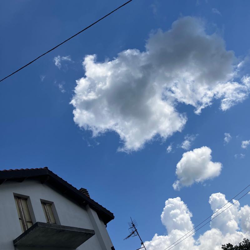 Fotosegnalazione di Davagna