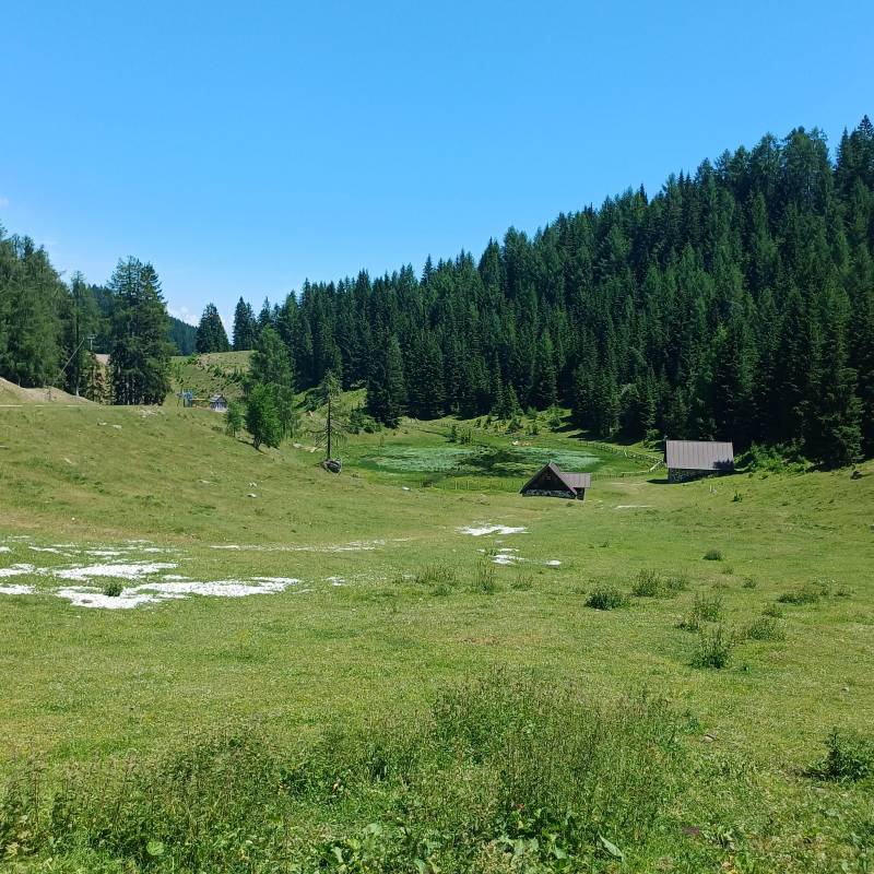 pace e tranquillita' alla malga