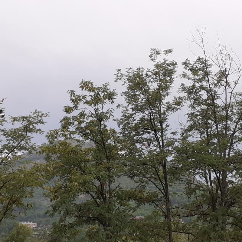Giornata piovosa