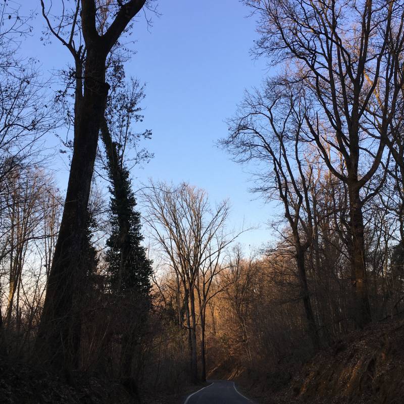 Giornata meravigliosa