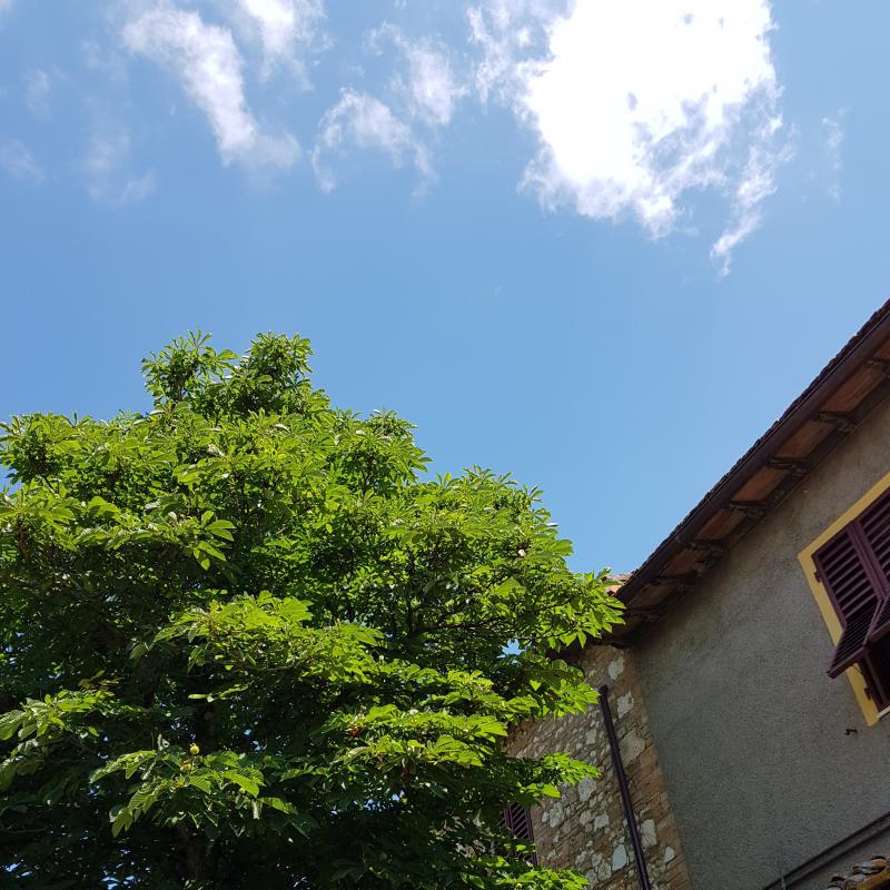 Fotosegnalazione di San gimignano
