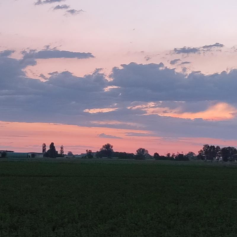 Alba...