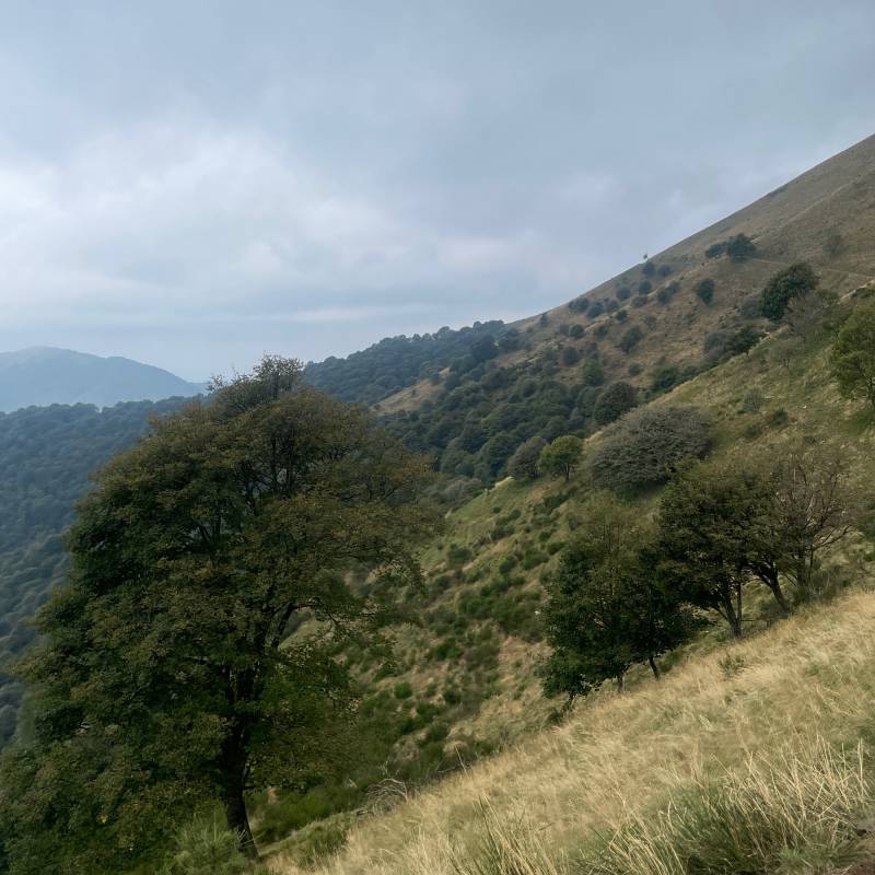 Fotosegnalazione di Sormano