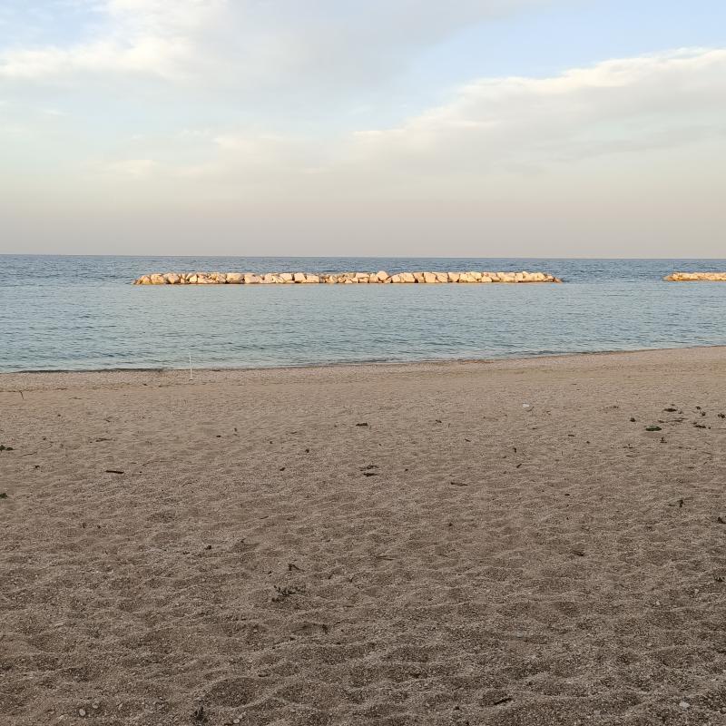 Fotosegnalazione di Porto recanati