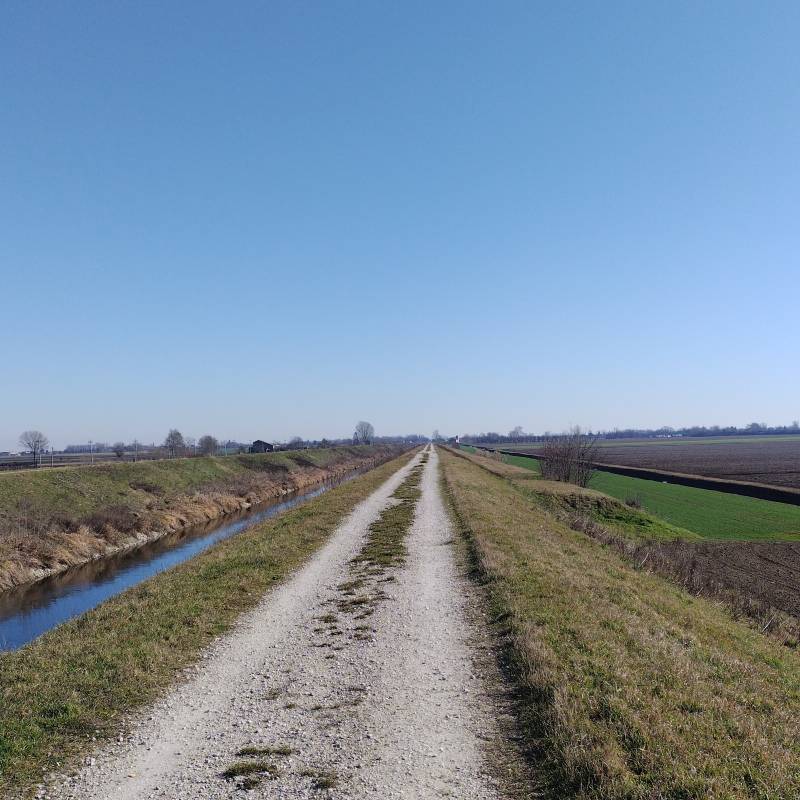 Fotosegnalazione di Vighizzolo d'este