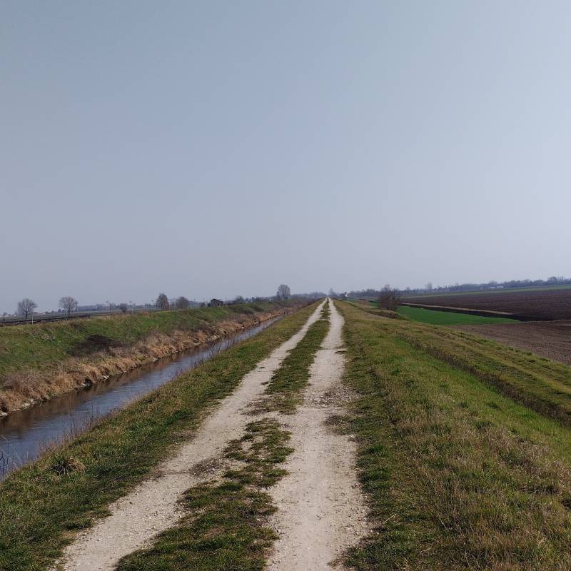 Fotosegnalazione di Vighizzolo d'este