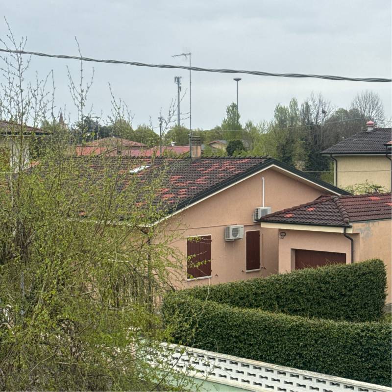 Fotosegnalazione di Gonzaga