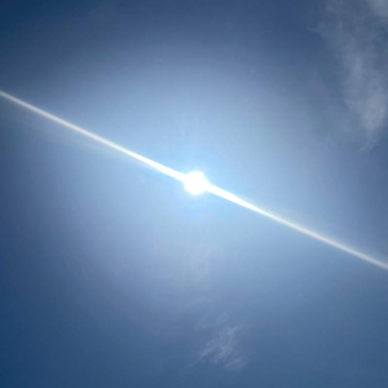 Fotosegnalazione di Savio