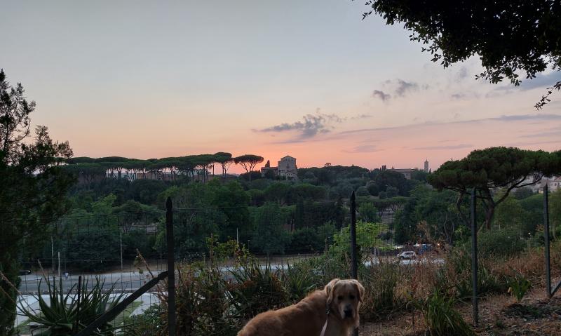 Tramonto sul palatino