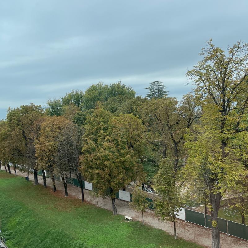 Fotosegnalazione di Treviso centro urbano