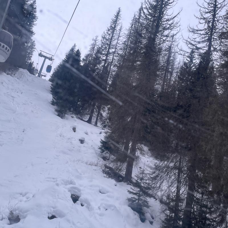 Fotosegnalazione di Primiero san martino di castrozza