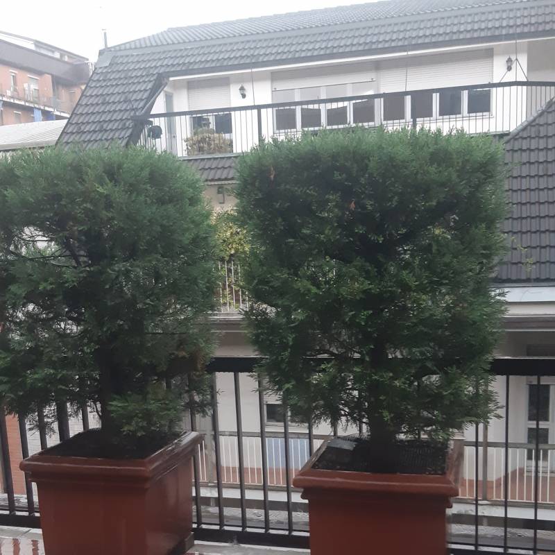 Fotosegnalazione di Torino san salvario