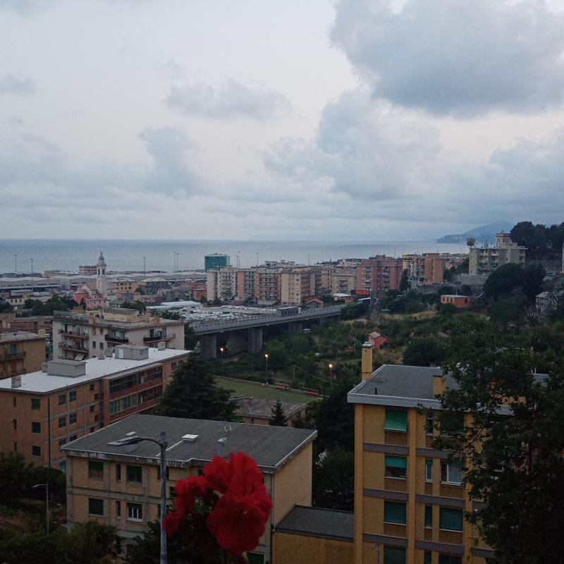 Fotosegnalazione di Genova pra