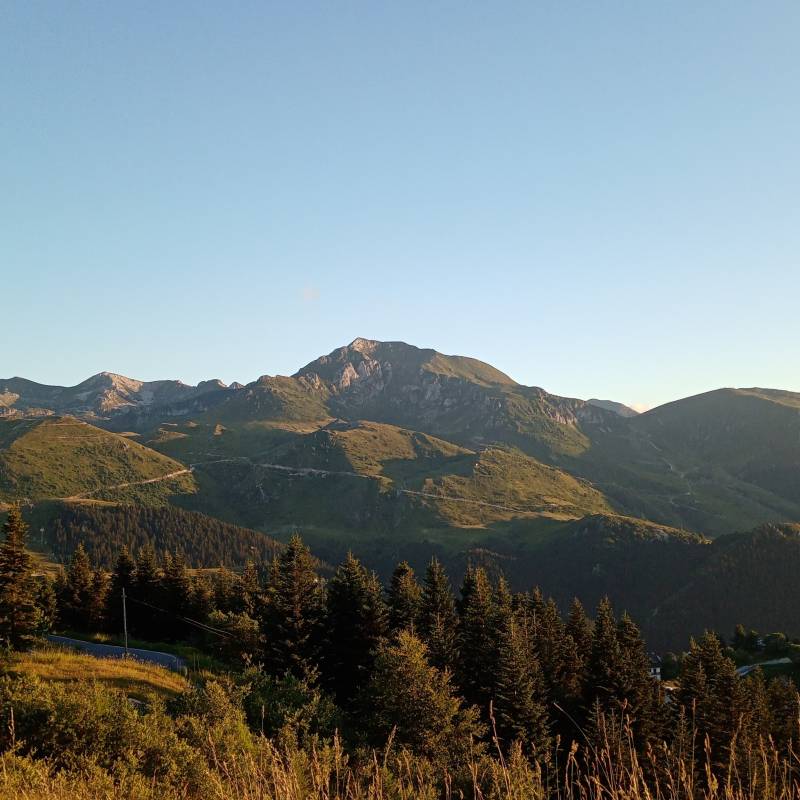 Fotosegnalazione di Burrino