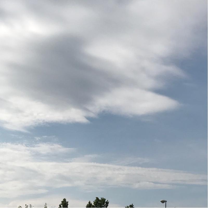 Fotosegnalazione di Guastalla