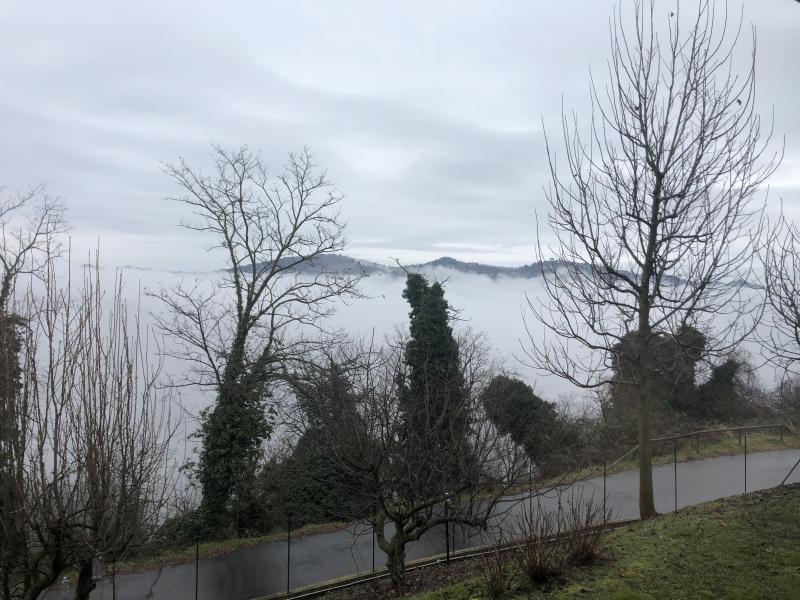nebbia in valle