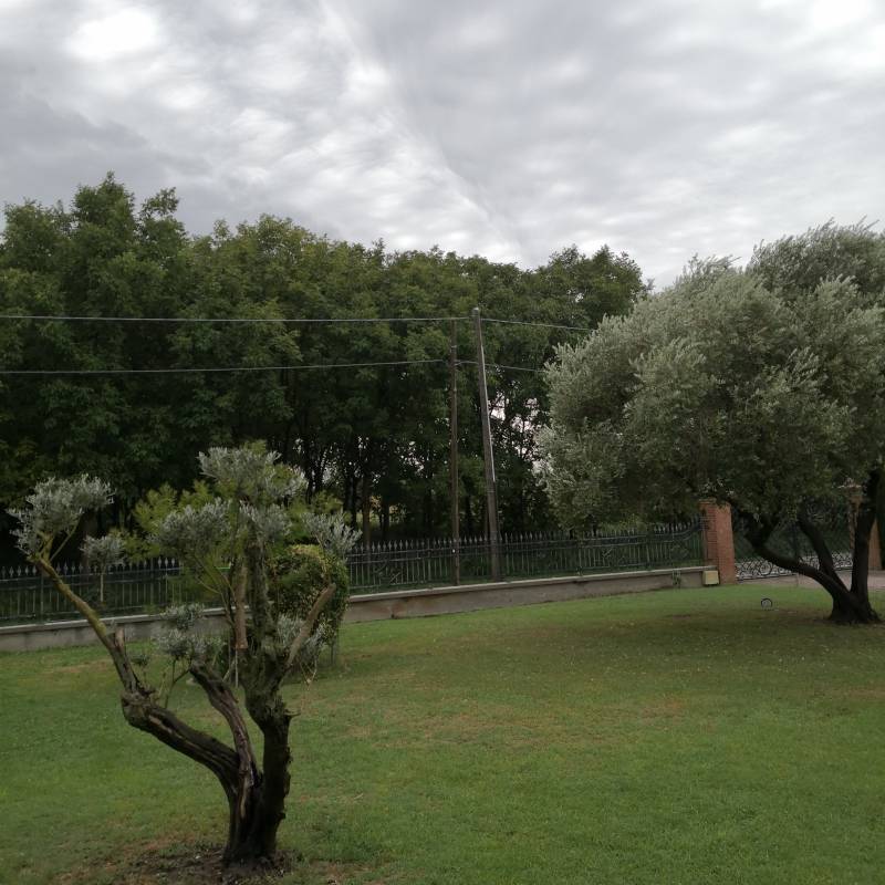 Fotosegnalazione di Brugine