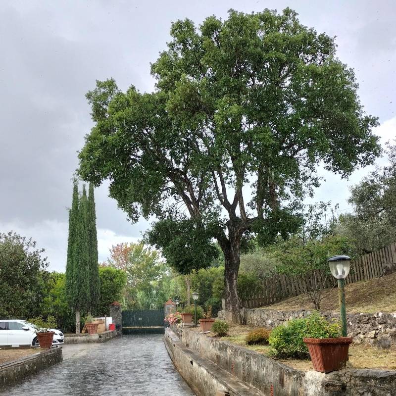Fotosegnalazione di Sarzana