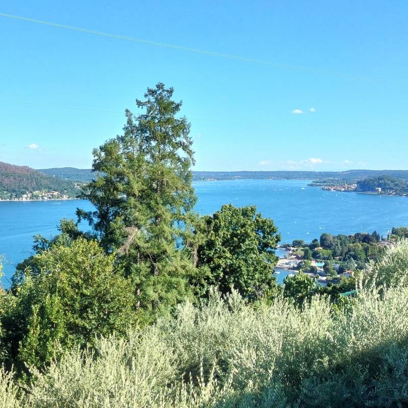 Fotosegnalazione di Nebbiuno