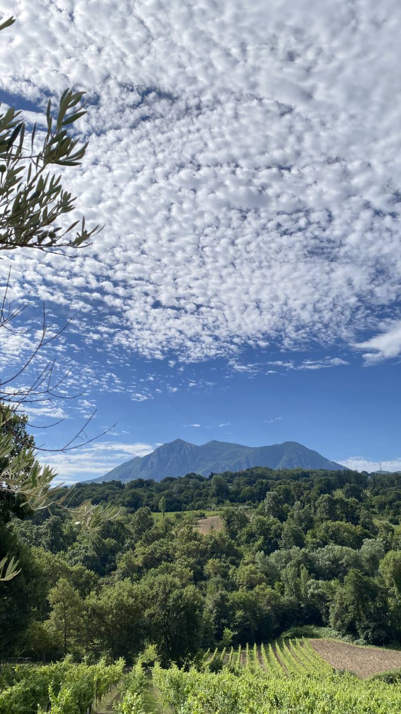 tenuta scuotto